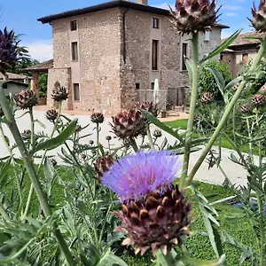 Agroturismo Corte Davini, Monzambano